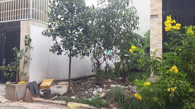 Hình ảnh Bán đất đường số 12 Hiệp Bình Phước sát chợ đầu mối Thủ Đức TP. HCM