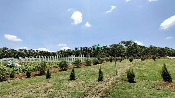Hình ảnh Đất nền nghỉ dưỡng Lộc Quảng - Lâm Đồng
