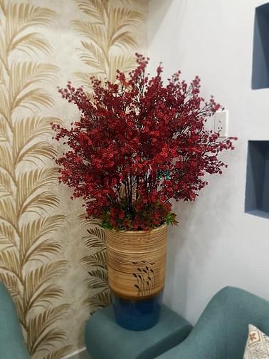 Hình ảnh Nhà Đẹp, Hẻm 82 Lê Văn Duyệt - Bình Thạnh, 57M. Chỉ 6 Tỷ 7