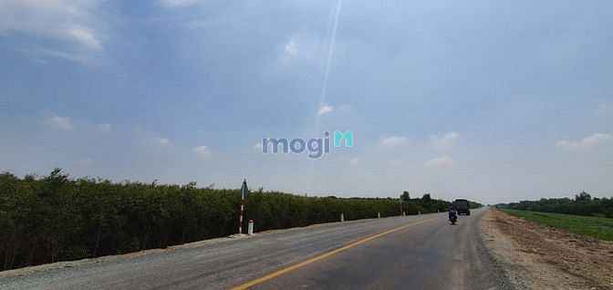 Hình ảnh ĐẤT HIẾM: Bán 1001m2 đất LONG THÀNH, GIÁ DUYÊN 2.3tr/m2 NGAY đường 32m