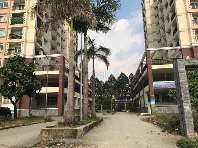 Hình ảnh Bán lô đất tặng nhà cấp 4 ngay đường số 1 Linh Trung. Nở hậu.SHR