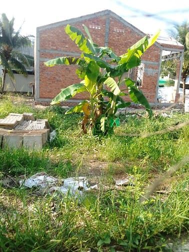 Hình ảnh Cần bán miếng đất thổ rẻ kế sân bay Cần Thơ