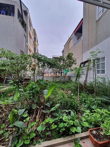 Hình ảnh Bán đất phố Trạm, Long Biên, 40m2 ngõ rộng thoáng, nhỉnh 2 tỷ