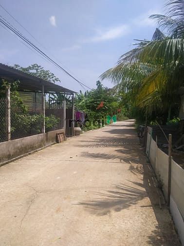 Hình ảnh Bán đất thổ phường Thới An Đông quận Bình Thủy