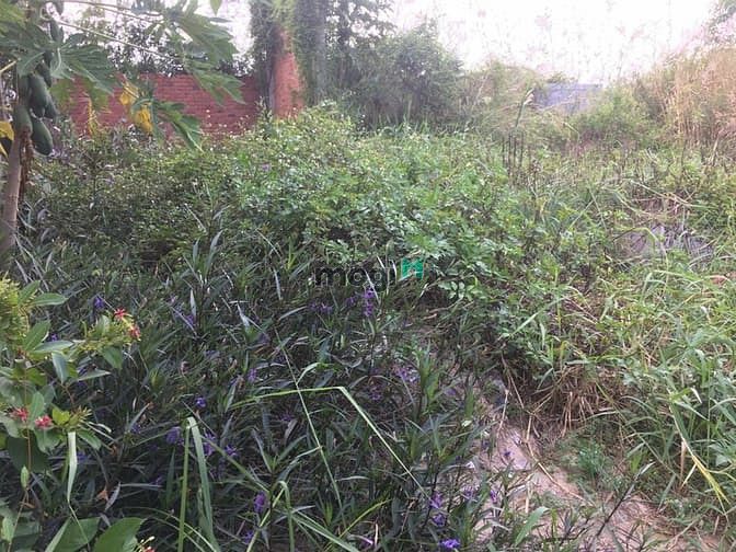 Hình ảnh Đất thổ cư , xây dựng tự do , tại đường lê văn lương , phước kiểng.