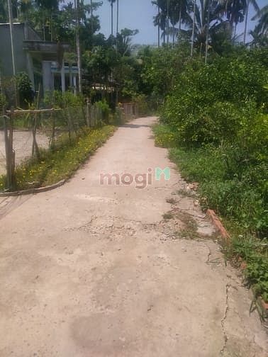 Hình ảnh Bán đất rẻ diện tích rộng có thổ cư tặng 2 căn nhà