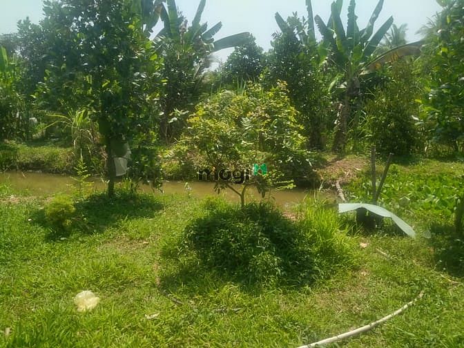 Hình ảnh Bán đất rẻ diện tích rộng có thổ cư tặng 2 căn nhà
