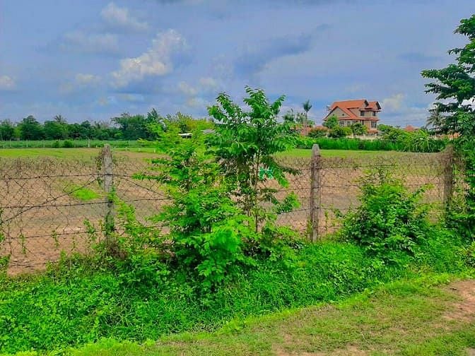 Hình ảnh Đất XỊN XỊN XỈU Nè quý dị oiii <3