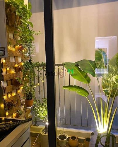 Hình ảnh Cho thuê Căn Hộ Quận 7 Ecogreen Saigon - Căn 2PN 1WC