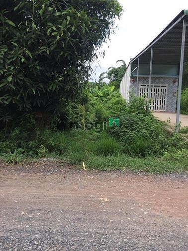 Hình ảnh Đất MT nguyễn Thị Chiên, Tân An Hội TC hết đất 184m2 chỉ 2 tỷ còn Tl