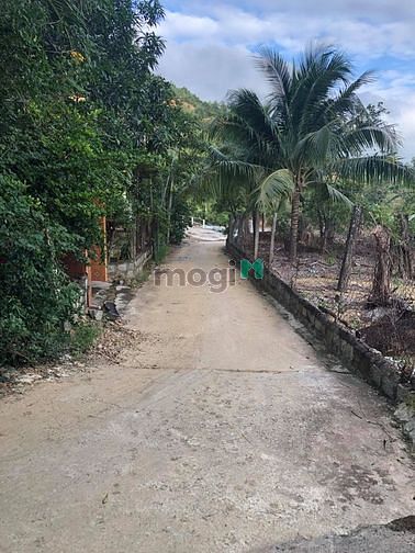 Hình ảnh Bán đất rẻ đường 5m thôn Như Xuân 1 - Vĩnh Phương