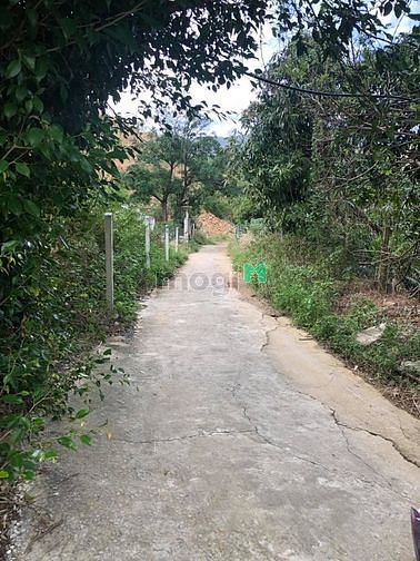 Hình ảnh Bán đất rẻ đường 5m thôn Như Xuân 1 - Vĩnh Phương