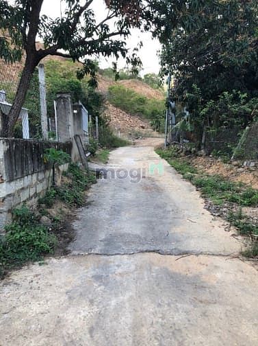Hình ảnh Bán đất rẻ đường 5m thôn Như Xuân 1 - Vĩnh Phương