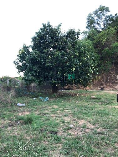 Hình ảnh Bán đất rẻ đường 5m thôn Như Xuân 1 - Vĩnh Phương