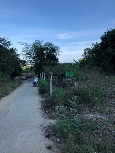 Hình ảnh Bán đất rẻ đường 5m thôn Như Xuân 1 - Vĩnh Phương