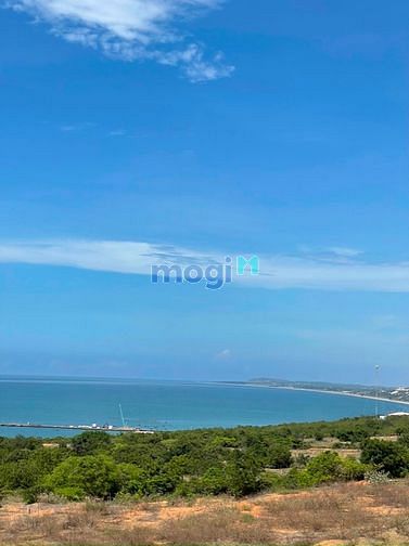 Hình ảnh Bán lô đất 1.2ha xuống bàu 10 phút