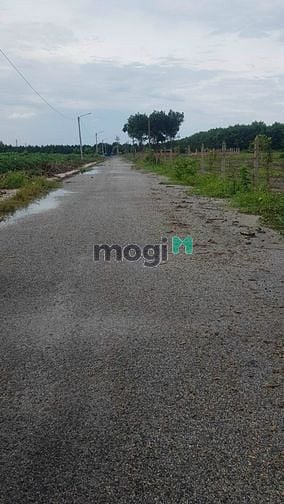 Hình ảnh Bán đất ấp 7 ,Minh Lập, Trơn thành ,Bình Phước ,DT 240,1m2 ,SHR