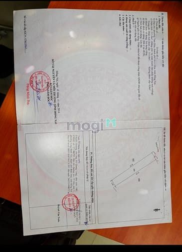 Hình ảnh Đất sổ riêng thổ cư 7x45 sau cục Hải Quan sát trường học Trấn Biên