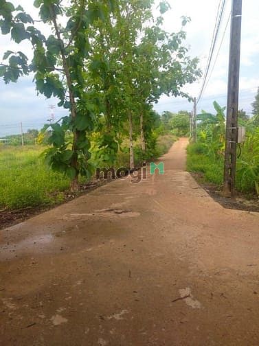 Hình ảnh Đất vườn Vĩnh Tân Vĩnh Cửu 4000m2