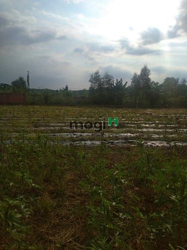 Hình ảnh Đất vườn Vĩnh Tân Vĩnh Cửu 4000m2