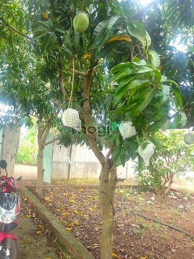 Hình ảnh Đất vườn Vĩnh Tân Vĩnh Cửu 4000m2