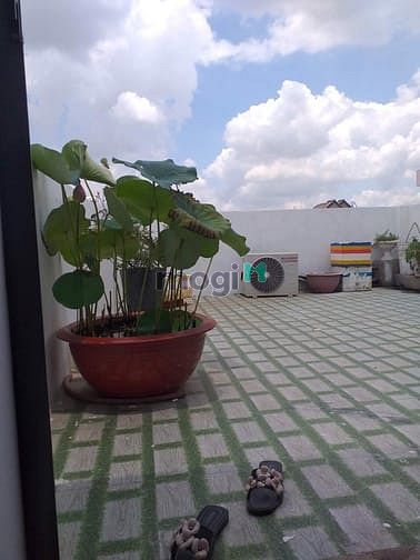 Hình ảnh Bán Gấp Căn Góc 3 Mặt Hẻm - Gò Vấp - TP.HCM