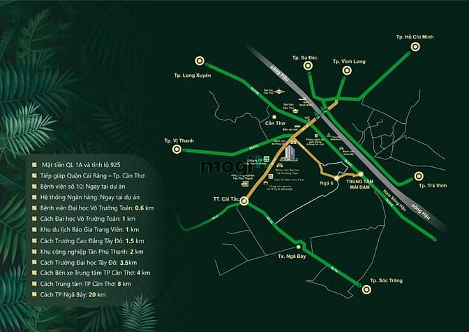 Hình ảnh Căn Hộ Trang Chủ MB66.COM Chính Thức Cao Cấp TÂY ĐÔ PLAZA