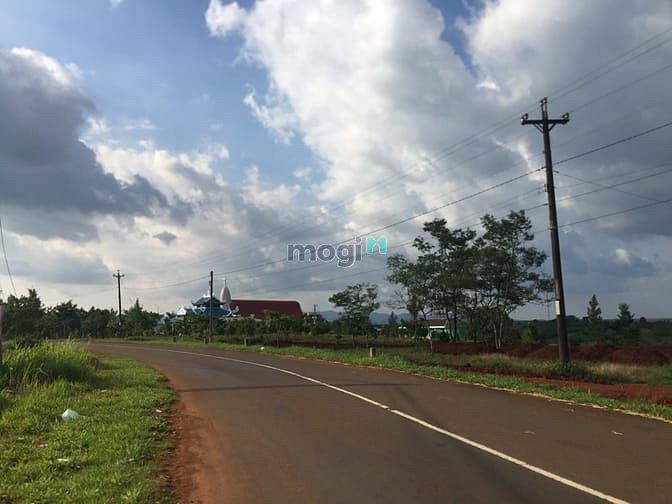 Hình ảnh Bán 2 lô đât mặt đường Lý Thái Thổ 383m2 và 505m2 full thổ cư SHR