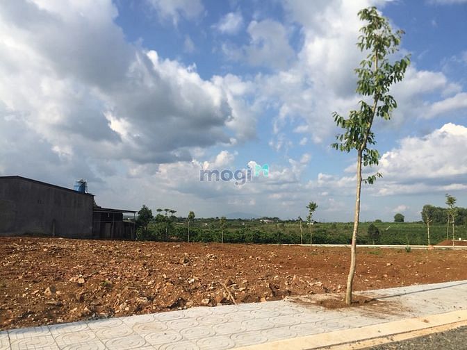Hình ảnh Bán 2 lô đât mặt đường Lý Thái Thổ 383m2 và 505m2 full thổ cư SHR
