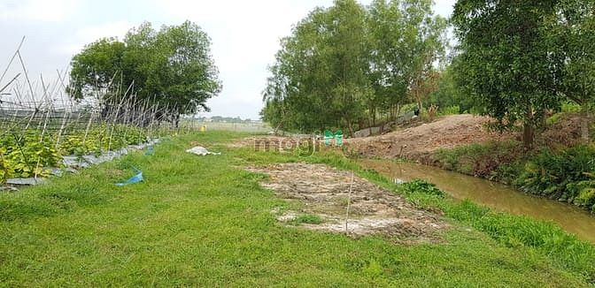 Hình ảnh Bán Đất Vườn Kênh Đông, 850tr/ 693m2
