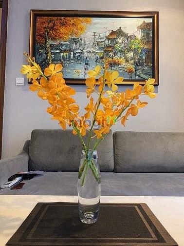 Hình ảnh Bán Trang Chủ MB66.COM / Đăng Ký Tặng 66K Vinhomes Central Park 84m2 2PN tặng nội thất cao cấp