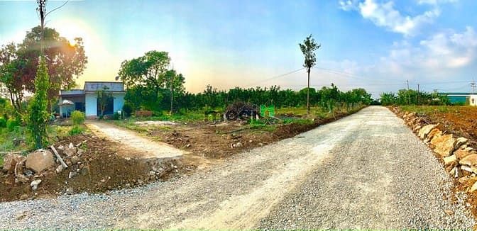 Hình ảnh ✅Cần Bán lô đất sào 1110m2 (100m2 thổ) ở xã Phước Bình, Long Thành, ĐN