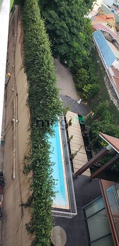 Hình ảnh CHDV Bình Thạnh 50m2 Free Xe..