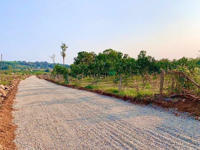 Hình ảnh BÁN 1110m2 đất THỔ CƯ Phước Bình-Long Thành, Giá 2.8tr/m2 SHR, F0