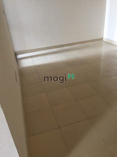 Hình ảnh Cho thuê CHCC TĐC Hoàng Cầu 95m2 tòa CT2A