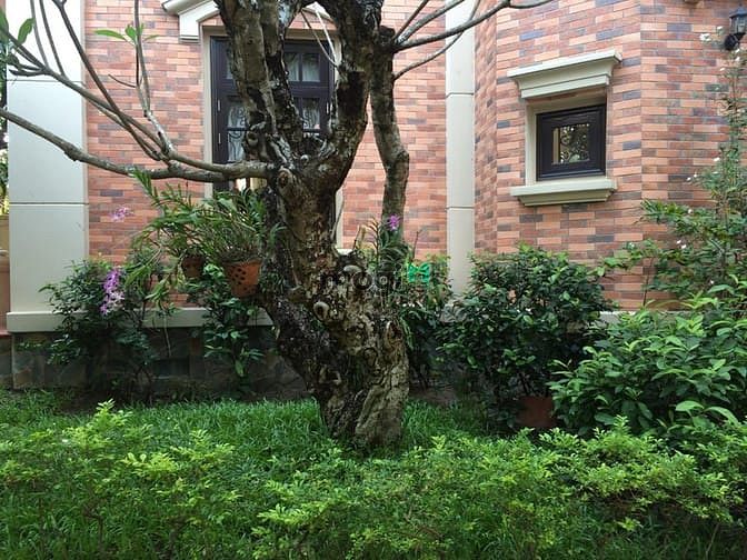 Hình ảnh Bán villa trệt 2 lầu hồ bơi sân vườn đẹp góc 2MT Nguyễn Ư Dĩ, P.TĐ,Q.2