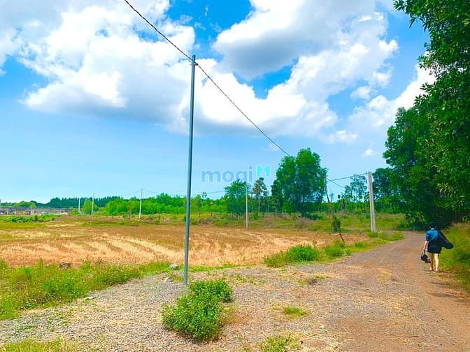 Hình ảnh Bán lô đất KDC Núi Thơm-Hồ Đá Bàng- BR- VT.