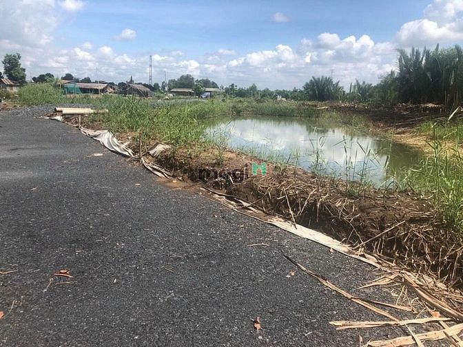 Hình ảnh Bán lô đất lúa hẻm 1697 (8 Nếp) Lê Văn Lương, Nhơn Đức, Nhà Bè