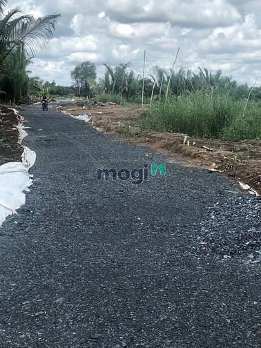 Hình ảnh Bán lô đất lúa hẻm 1697 (8 Nếp) Lê Văn Lương, Nhơn Đức, Nhà Bè