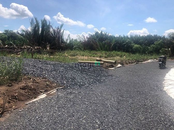Hình ảnh Bán lô đất lúa hẻm 1697 (8 Nếp) Lê Văn Lương, Nhơn Đức, Nhà Bè