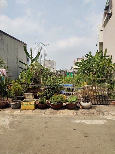 Hình ảnh Lô đất mặt tiền đường rộng 10m KDC Hiệp Bình, sổ đỏ, xây tự do 93m2