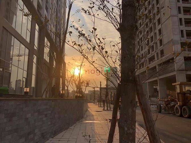 Hình ảnh Đất xanh độc quyền Phương Đông Green Park