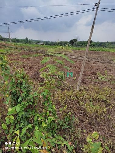 Hình ảnh Bán lô đất vườn chính chủ ở thanh phú bình phước 1000m2 179t.r.