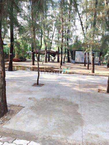 Hình ảnh Dãy trọ vị trí đẹp thu nhập cao ĐS khu TQĐ, Q7