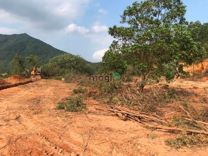 Hình ảnh Chủ Cần bán gần 3ha Minh Phú - Sóc Sơn - Hà Nội.