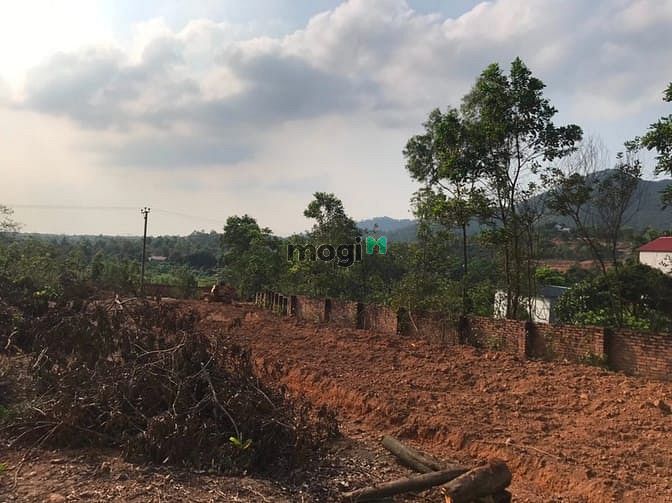 Hình ảnh Chủ Cần bán gần 3ha Minh Phú - Sóc Sơn - Hà Nội.