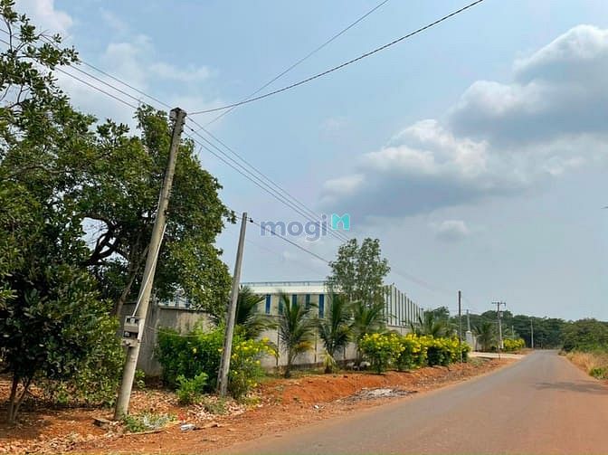 Hình ảnh Sổ hồng riêng,đất mặt tiền đường 32m, ngang 21m dài 62m, 1300m2 đất