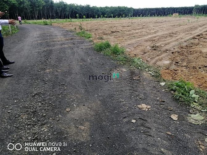 Hình ảnh Đất Đồng Phú , Giá 550 triệu 1000m2