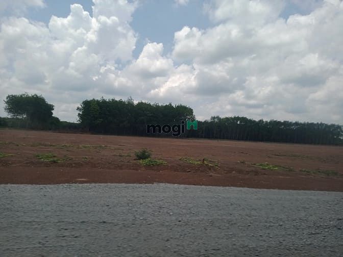 Hình ảnh Đất Đồng Phú , Giá 550 triệu 1000m2