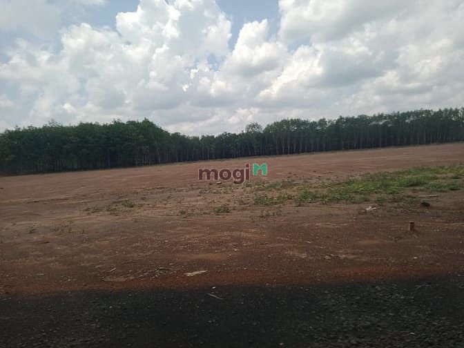 Hình ảnh Đất Đồng Phú , Giá 550 triệu 1000m2